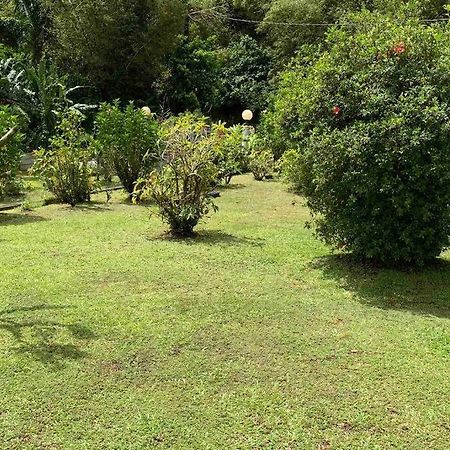 972B-Coin De Verdure Au Pied De La Montagne Pelee Le Morne-Rouge Ngoại thất bức ảnh