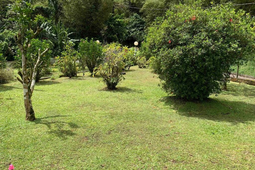972B-Coin De Verdure Au Pied De La Montagne Pelee Le Morne-Rouge Ngoại thất bức ảnh