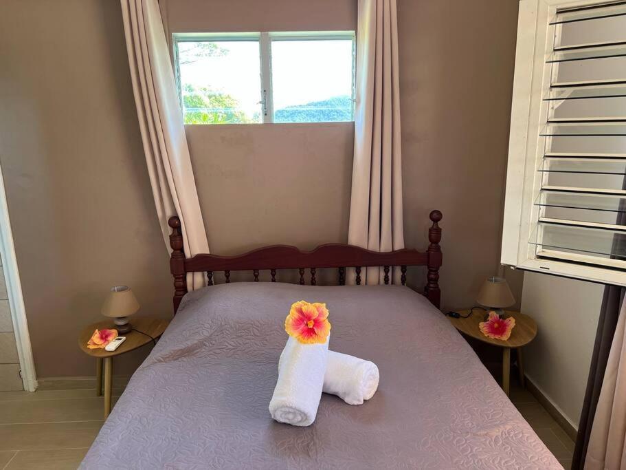 972B-Coin De Verdure Au Pied De La Montagne Pelee Le Morne-Rouge Ngoại thất bức ảnh