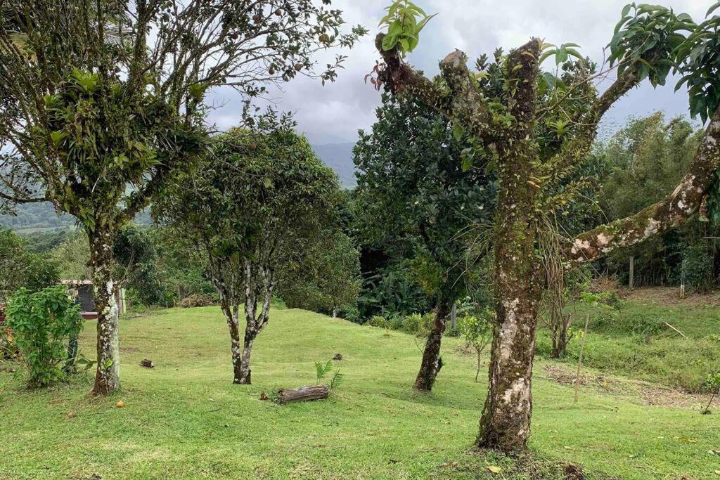 972B-Coin De Verdure Au Pied De La Montagne Pelee Le Morne-Rouge Ngoại thất bức ảnh